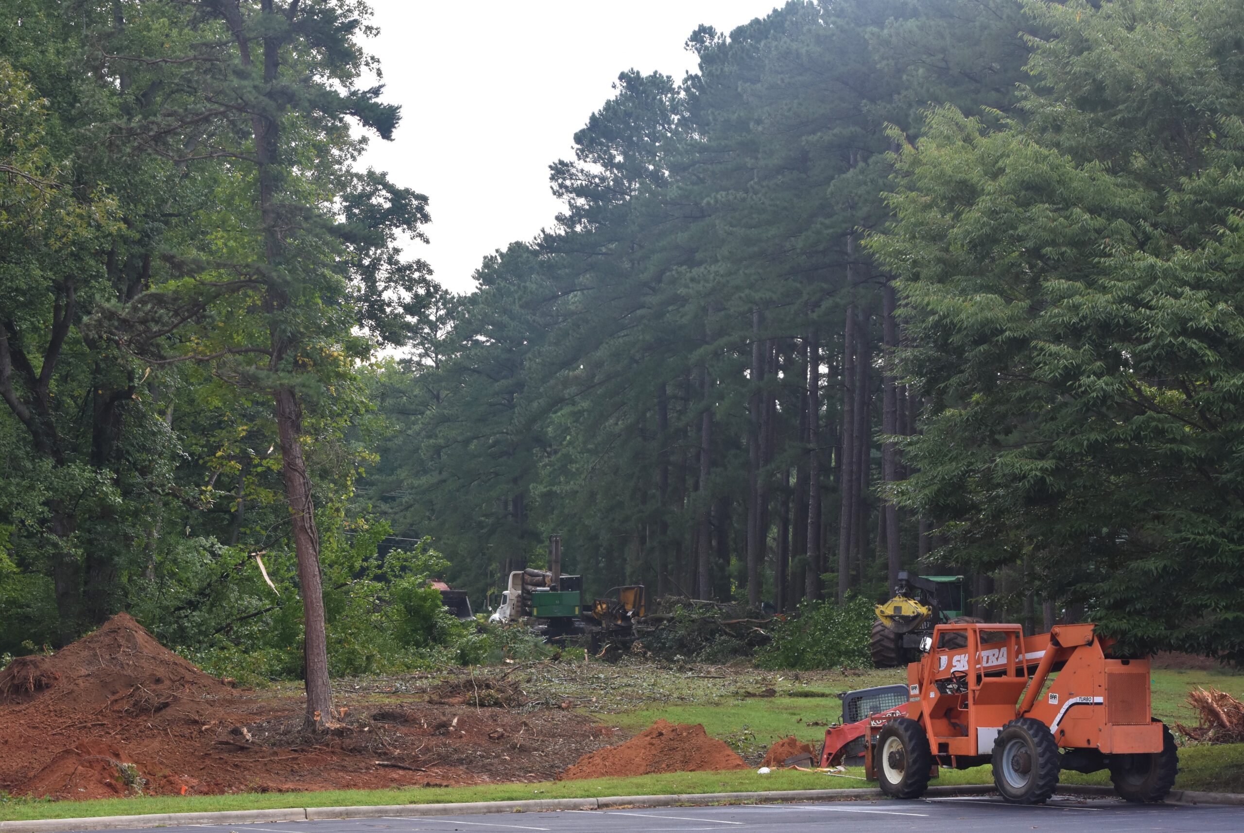 More work, including tree removal, along the clearing toward NC 65, 8/15/2022.