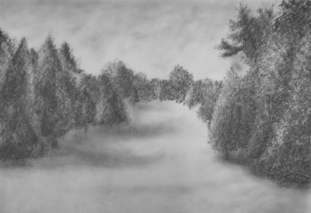 2021 Fall Art Show - Katherine Mullins. Landscape Study. Graphite on paper. 11x14.