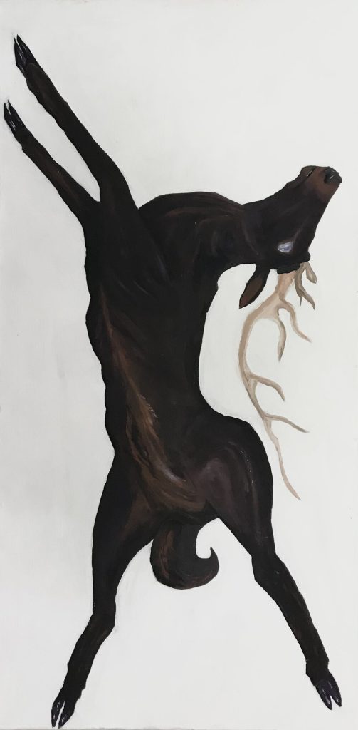 Virginia Taylor, "Stag", oil on canvas, 20x36
